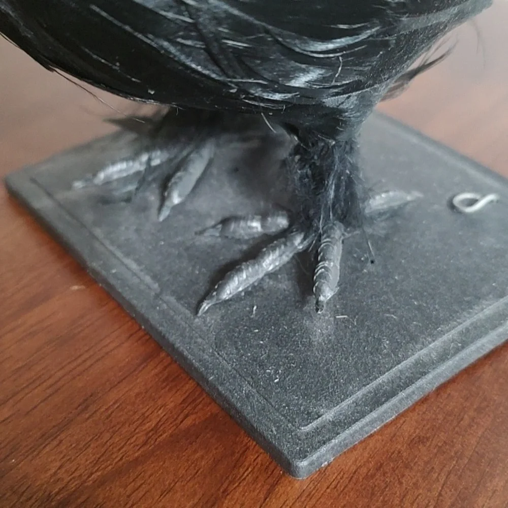 Black Raven Crow Sculpture Real Feathers Bird Halloween Decor Movie Set Prop - Picture 8 of 14